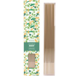 Αρωματικά Stick Τζίντζερ-Μέντα