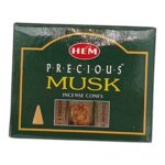Hem Αρωματικοί Κώνοι "Musk"